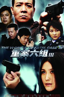 重案六组第三部第36集(大结局)