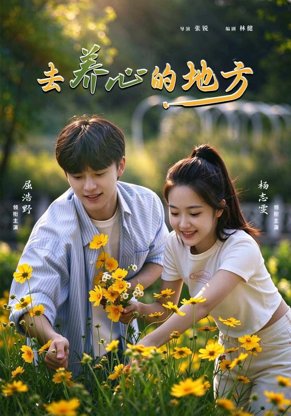 去养心的地方(全集)