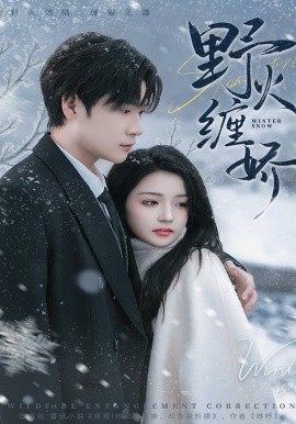 野火缠娇(全集)